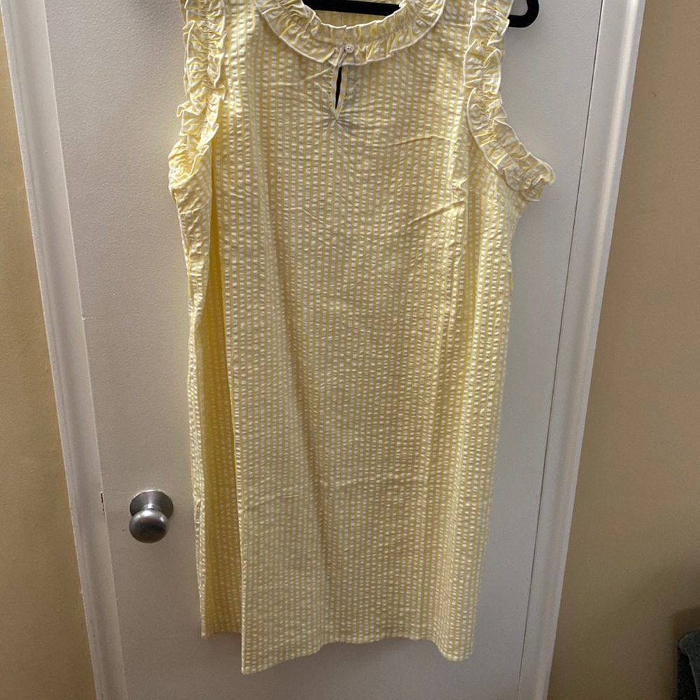 NWT Kim Rodgers dress